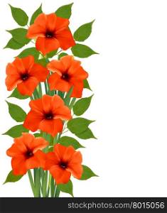 Holiday background with orange beautiful flowers. Vector illustration.