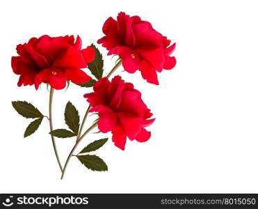 Holiday background with red three roses. Vector