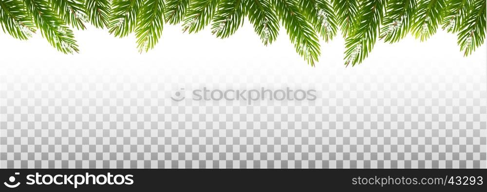 Holiday Christmas Frame With Green Tree Branches on Transparent Background. Vector