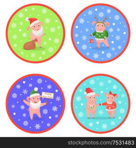 Holiday New Year pig colored round images. Piggies in different images on ring with snowflakes and white background. Winter design illustrations vector. Holiday New Year Pig Colored Round Images Vector