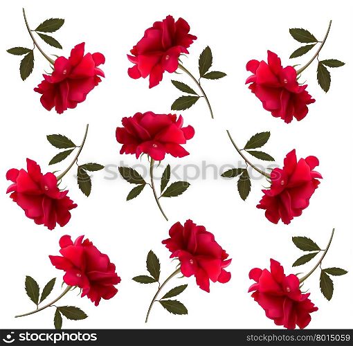 Holiday pattern with red beautiful roses. Vector