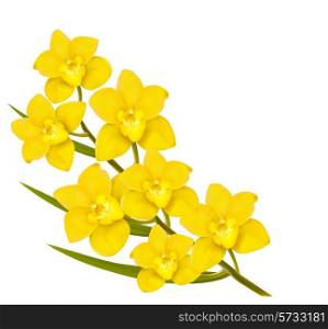 Holiday yellow flowers background. Vector.