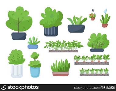 Home and street greenery flat color vector objects set. Houseplants, blooming flowers in pots, vegetables in garden, bushes in flowerbeds 2D isolated cartoon illustrations on white background