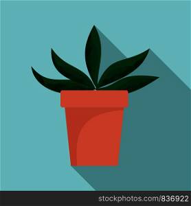 Home cactus pot icon. Flat illustration of home cactus pot vector icon for web design. Home cactus pot icon, flat style