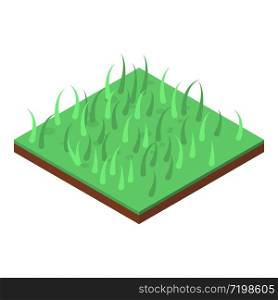 Home grass icon. Isometric of home grass vector icon for web design isolated on white background. Home grass icon, isometric style