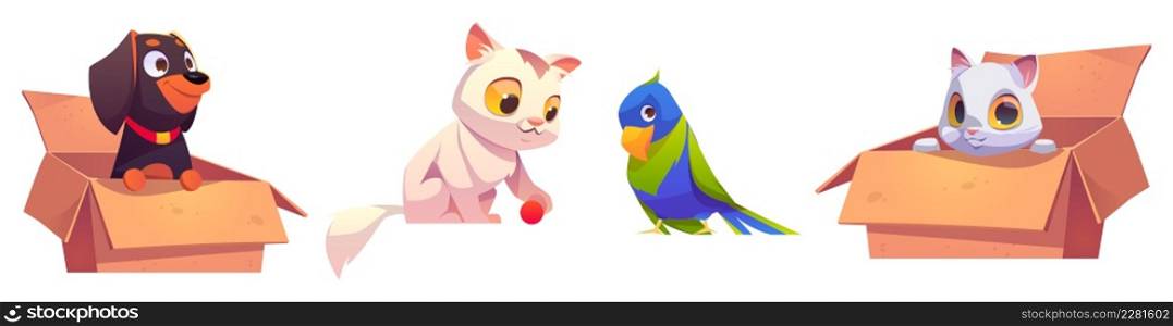 Home pets, cute dog, parrot and cat characters. Vector cartoon set of funny domestic animals and bird. Puppy rottweiler and white kitten in cardboard boxes isolated on background. Home pets, cute dog, parrot and cat characters