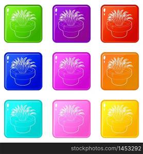 Home plant icons set 9 color collection isolated on white for any design. Home plant icons set 9 color collection
