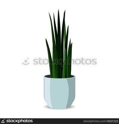 Home Plant in Pot Flat Illustration, Isolated. Decorative Indoor Cartoon Flowerpot Exotic Flora. Domestic Horticulture. Natural Exotic Window or Interior Decoration. Office or Houseplant.. Home Plant in Pot Flat Isolated. Decorative Indoor