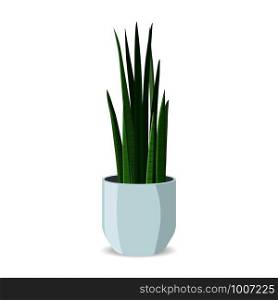 Home Plant in Pot Flat Illustration, Isolated. Decorative Indoor Cartoon Flowerpot Exotic Flora. Domestic Horticulture. Natural Exotic Window or Interior Decoration. Office or Houseplant.. Home Plant in Pot Flat Isolated. Decorative Indoor
