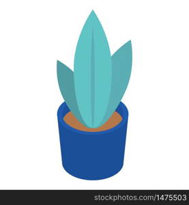 Home plant pot icon. Isometric of home plant pot vector icon for web design isolated on white background. Home plant pot icon, isometric style