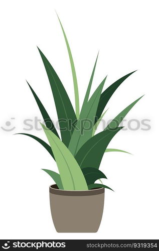 Home plant. Potted plant isolated. Decorative green houseplant in pot. Plant in pot. Vector illustration