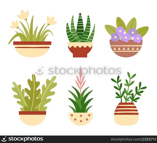 Home plants in pots. Botanical succulents, blooming flowers with green leaves. House decoration, home garden elements isolated on white. Different houseplants for interior vector set. Home plants in pots. Botanical succulents, blooming flowers with green leaves. House decoration, home garden elements