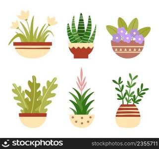 Home plants in pots. Botanical succulents, blooming flowers with green leaves. House decoration, home garden elements isolated on white. Different houseplants for interior vector set. Home plants in pots. Botanical succulents, blooming flowers with green leaves. House decoration, home garden elements