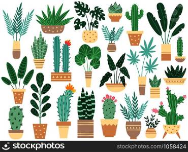 Home plants in pots. Nature houseplants, decoration potted houseplant and flower plant planting in pot or garden decorative flowerpot. Succulent, monstera ficus vector isolated icons illustration set. Home plants in pots. Nature houseplants, decoration potted houseplant and flower plant planting in pot vector isolated illustration