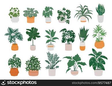 Home potted plants. Cartoon houseplants in pots for interior. Decorative monstera, palm in pot, ficus in basket, pilea in vase. Indoor green plants, foliage, leaves vector set. Floral collection. Home potted plants. Cartoon houseplants in pots for interior. Decorative monstera, palm in pot, ficus in basket, pilea in vase. Indoor green plants, foliage, leaves vector set