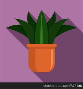 Home succulent icon. Flat illustration of home succulent vector icon for web design. Home succulent icon, flat style