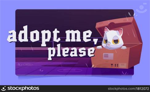Homeless pets adoption cartoon banner with kitten sit in carton box under rain shower. Animal shelter charity, rescue, protection and support, custody, help to stray cats concept, vector illustration. Homeless pets adoption cartoon banner, animal help