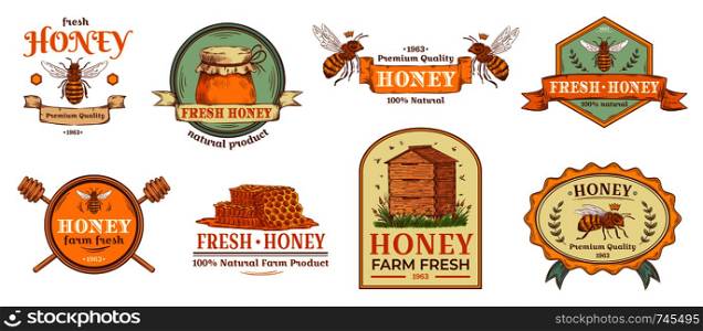 Honey badge. Natural bee farm product label, organic beekeeping pollen and bees hive emblem badges. Beehives logo, honeycomb tag or bumblebee wasp bee wax insignia. Isolated vector illustration set. Honey badge. Natural bee farm product label, organic beekeeping pollen and bees hive emblem badges vector illustration set