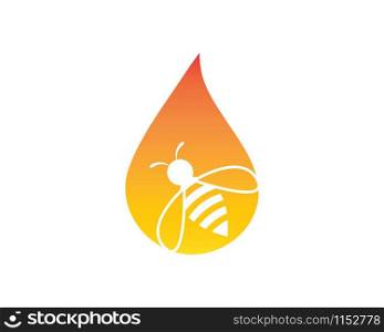 honey bee drop Template vector icon illustration design
