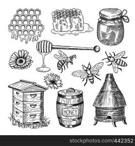 Honey, bee, honeycomb and other thematically hand drawn pictures. Vector vintage illustration. Honey bee insect, honeycomb organic. Honey, bee, honeycomb and other thematically hand drawn pictures. Vector vintage illustration