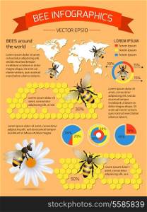 Honey bee on daisy and comb background infographic with world map vector illustration