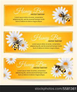 Honey bee on daisy flower with comb pattern banners set isolated vector illustration