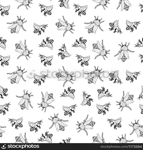 Honey Bee Seamless Pattern, Sketch Vector Illustration With Bumble Bee Hives In Vintage Style, Yellow Hand Drawn Honeycomb On White Background. Honey Bee Seamless Pattern, Sketch Vector Illustration With Bee Hives In Vintage Style