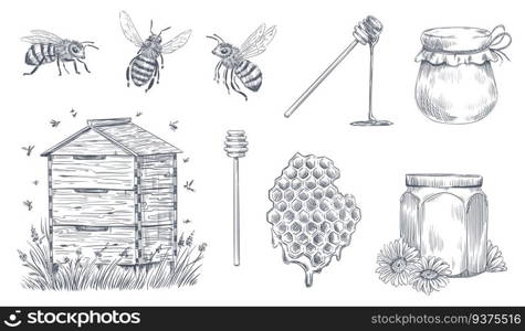 Honey bees engraving. Hand drawn beekeeping, vintage honey farm and honeyed bee pollen. Insect bee drawing, honeycomb and organic flower nectar jars. Vector illustration isolated icons set. Honey bees engraving. Hand drawn beekeeping, vintage honey farm and honeyed bee pollen vector illustration set
