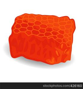 Honey comb isolated vector illustration on a white background