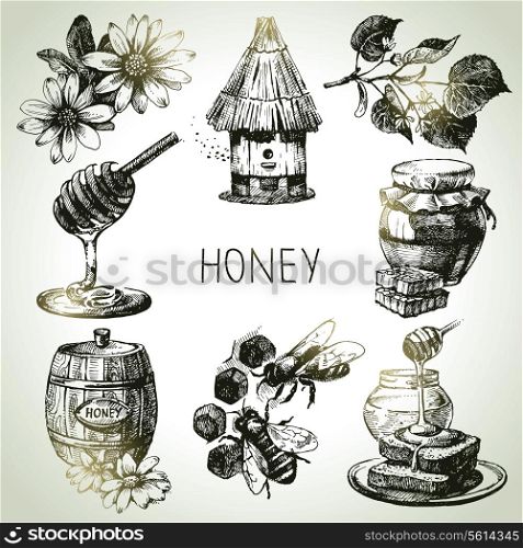 Honey set. Hand drawn vintage illustrations