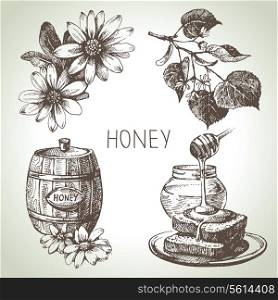 Honey set. Hand drawn vintage illustrations