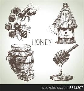 Honey set. Hand drawn vintage illustrations&#x9;