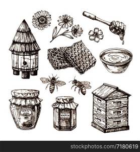 Honey sketch. Bee and honeyed flower, honeycomb and hive. Hand drawn vintage vector isolated set. Honeycomb and honey sketch, bee and flower illustration. Honey sketch. Bee and honeyed flower, honeycomb and hive. Hand drawn vintage vector isolated set