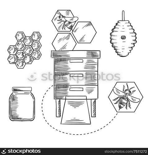 Honeycomb sketch design with bees flying near beehives, honeycombs and glass jar with honey for beekeeping industry design. Beekeeping objects with bees and beehives