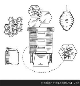Honeycomb sketch design with bees flying near beehives, honeycombs and glass jar with honey for beekeeping industry design. Beekeeping objects with bees and beehives