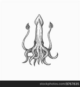 Hooked squid isolated monochrome sketch icon. Vector seafood, raw or cooked squid sea organism marine creature. Squid with eight arms and two tentacles, aquatic underwater animal mascot. Calamari squid isolated marine animal mollusk icon