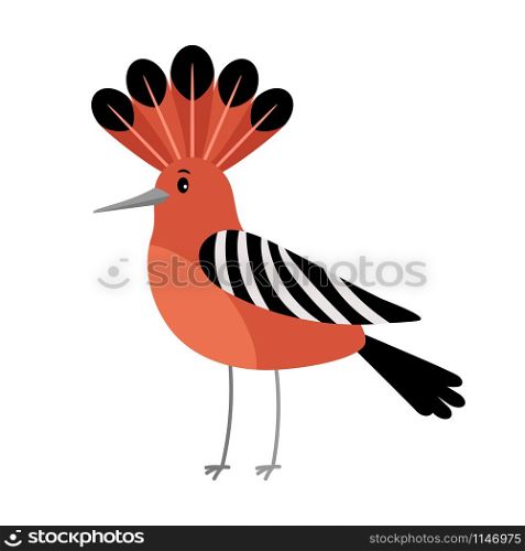 Hoopoe cartoon colorful bird icon on white background, vector illustration. Hoopoe cartoon bird icon