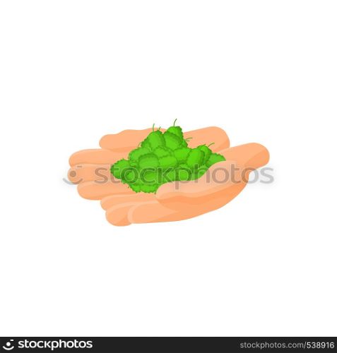 Hop cones in hands icon in cartoon style on a white background. Hop cones in hands icon, cartoon style