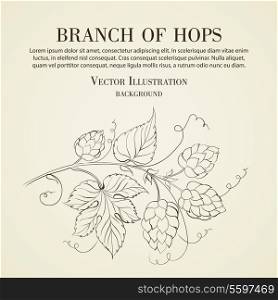 Hop with leafs isolated on biege. Vector illustration.