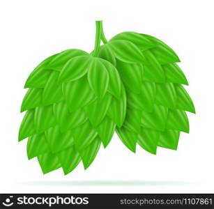 hops ripe and green beer preparation ingredient vector illustration isolated on white background