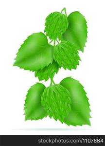 hops ripe and green beer preparation ingredient vector illustration isolated on white background