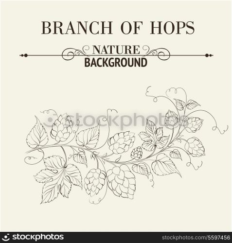 Hops with leafs isolated on sepia. Vector illustration.