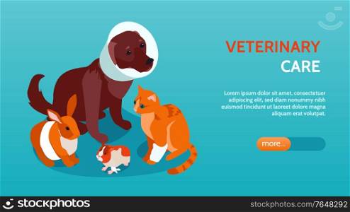 Horizontal and isometric veterinary banner with different pets headline and more button vector illustration