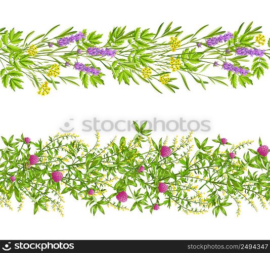 Horizontal blooming herbs and wild flowers border seamless pattern set isolated on white background flat vector illustration. Herbs And Wild Flowers Seamless Pattern
