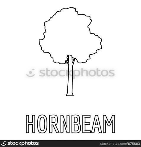 Hornbeam icon. Outline illustration of hornbeam vector icon for web. Hornbeam icon, outline style.