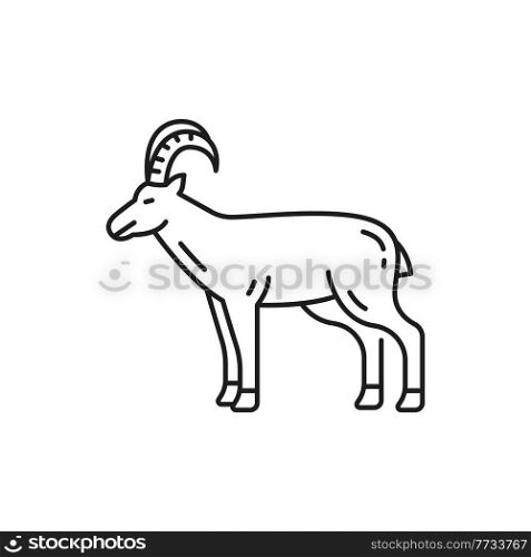 Horned domestic animal alpine Swiss goat, livestock mammal isolated thin line icon. Vector mountain goats mascot, agriculture and farming source of meat and milk, farm horned cattle side view. Goat domestic animal isolated livestock mammal