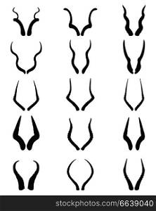 horns of antelopes