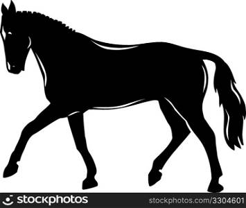 Horse 02