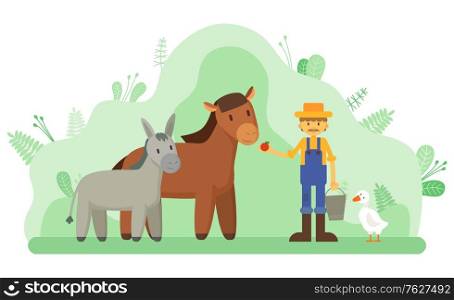 Horse and donkey in park, farmer and livestock, farming vector. Duck and man in overalls and straw hat feeding animal with apple, agriculture and farmland or ranch. Flat cartoon. Farmer and Livestock, Horse and Donkey, Farming