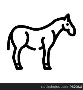 horse animal line icon vector. horse animal sign. isolated contour symbol black illustration. horse animal line icon vector illustration